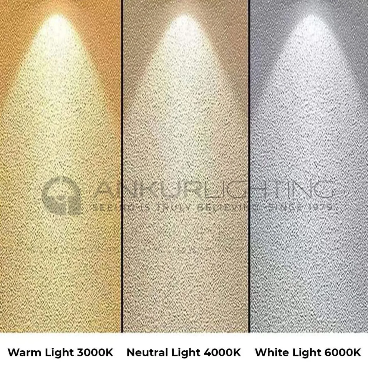 ANKUR ERA RINGO 6W CYLINDER TUBE LED HANGING LIGHT