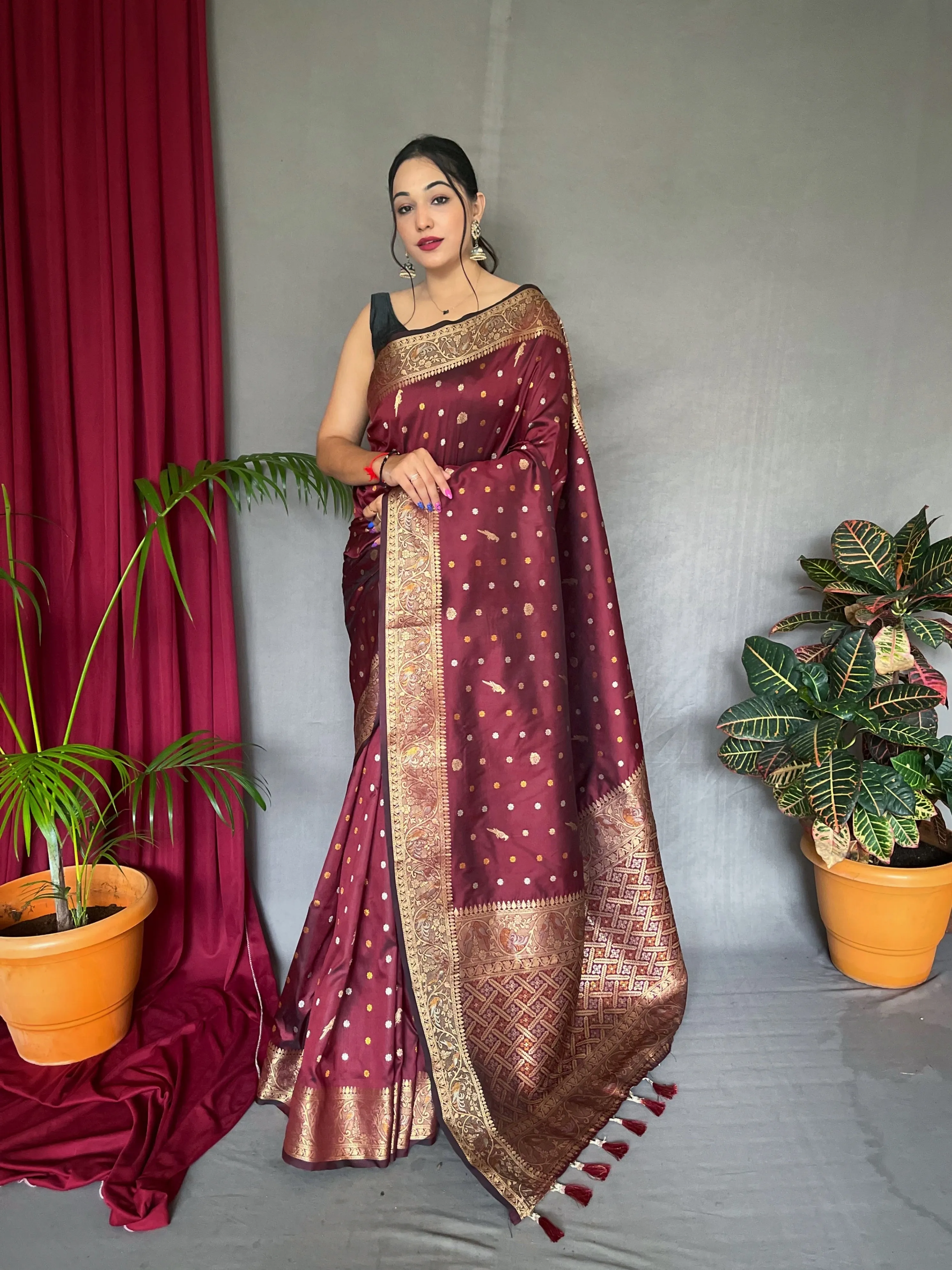 Sanguine Brown Saree in Soft Silk Multi Color Zari