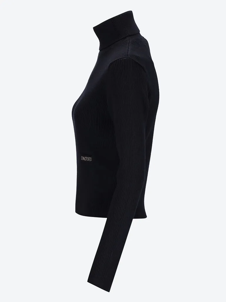 Signature rib turtleneck sweater