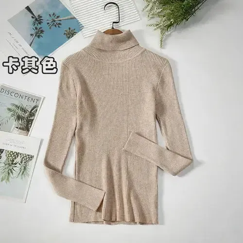 Simple Women Turtleneck Sweater