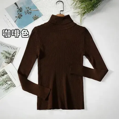 Simple Women Turtleneck Sweater