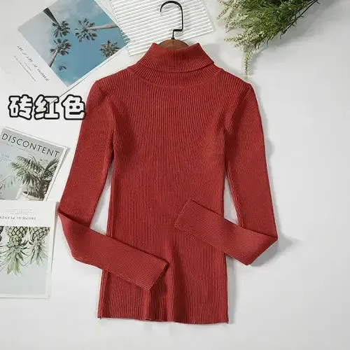 Simple Women Turtleneck Sweater