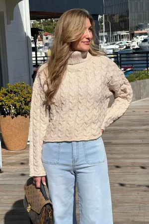 Thick Braid Turtleneck Sweater Taupe